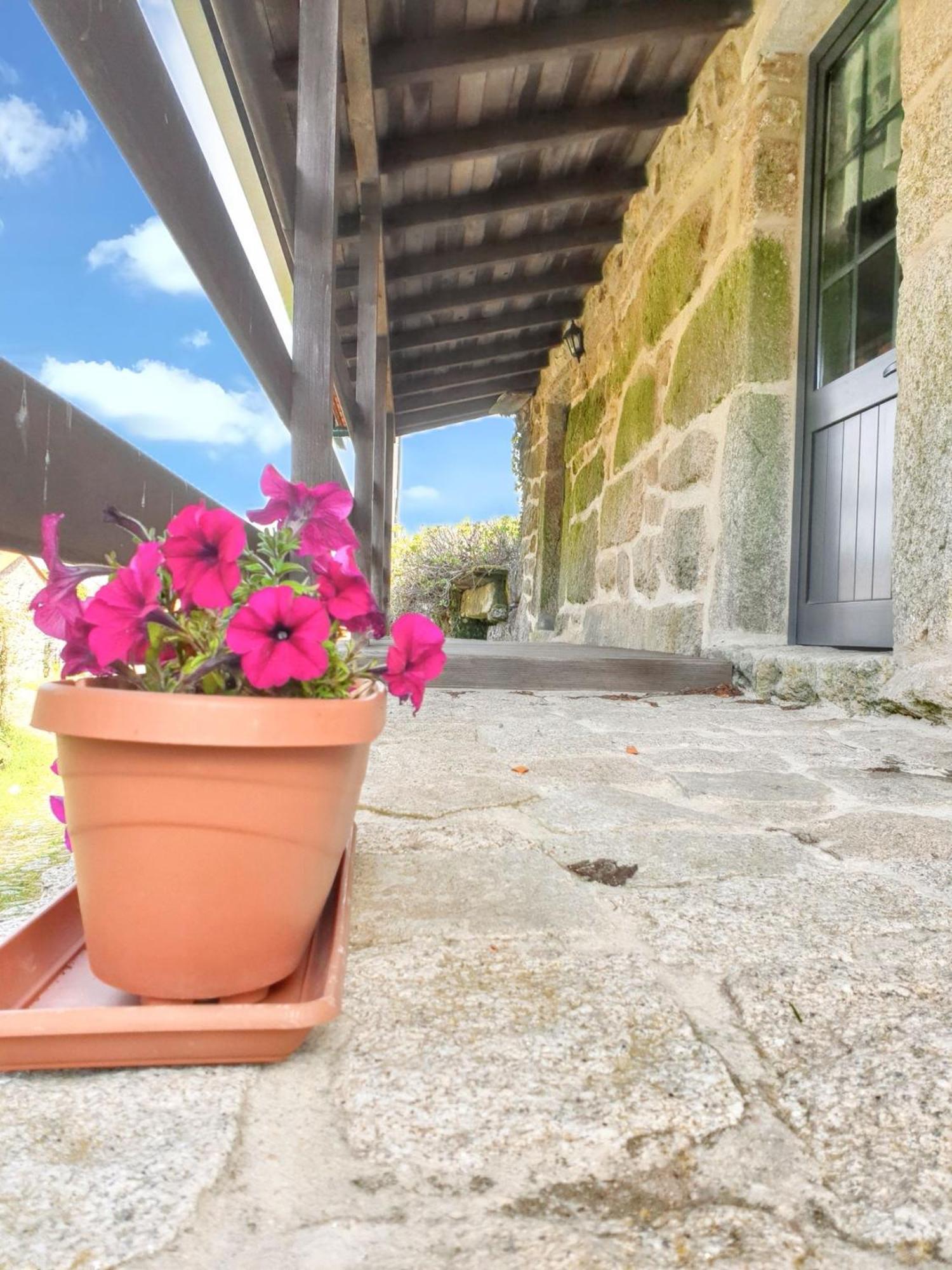 Welcoming House With Mountain View In Agueda Shared Pool Villa Urgueira  Bagian luar foto